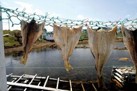 Ακολουθώντας τα (γαστρονομικά) ίχνη του μπακαλιάρου στη βόρεια Ισπανία