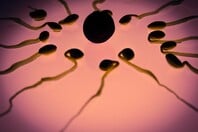 ΣΠΕΡΜΑΤΟΖΩΑΡΙΑ ΔΙΑΣΤΗΜΑ ΜΙΚΡΟΒΑΡΥΤΗΤΑ