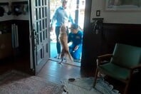 ARTEMIS II ΚΡΙΣΤΙΝΑ ΚΟΧ ΣΚΥΛΟΣ ΕΠΑΝΕΝΩΣΗ