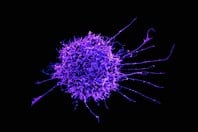 ΕΡΕΥΝΑ ΚΑΡΚΙΝΟΣ ΚΥΤΤΑΡΑ ΓΕΝΕΤΙΚΗ