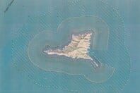 ΓΥΑΡΟΣ ΠΡΟΕΔΡΙΚΟ ΔΙΑΤΑΓΜΑ ΑΣΠΙΔΑ