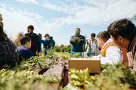 Πέντε χρόνια δράσης της Motor Oil στην Αμυγδαλέζα: Μια πρωτοβουλία για τα ελληνικά δάση