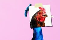 Τα πτυχία ή για τα παθήματα της αριστείας 