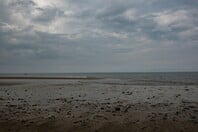 ΚΑΙΡΟΣ ΠΡΩΤΟΜΑΓΙΑ ΚΡΥΟ 