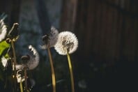 ΚΑΙΡΟΣ ΠΡΩΤΟΜΑΓΙΑ