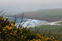 ΚΑΙΡΟΣ ΜΑΡΟΥΣΑΚΗΣ ΠΡΩΤΟΜΑΓΙΑ