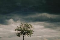 ΚΑΙΡΟΣ ΠΡΩΤΟΜΑΓΙΑ ΒΡΟΧΕΣ