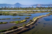 Messinia Challenge 2026: Οι πρώτοι βιώσιμοι αγώνες τρεξίματος στην Ελλάδα