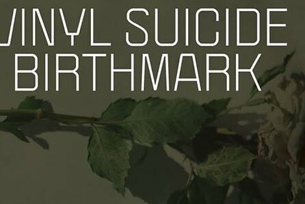 Vinyl Suicide + Birthmark Live 