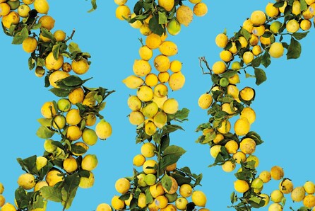 4th Athens Biennale