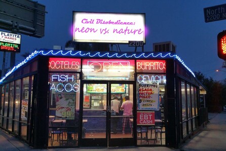 Civil Disobedience: Neon vs Nature