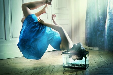 Julie de Waroquier, Dreamalities 