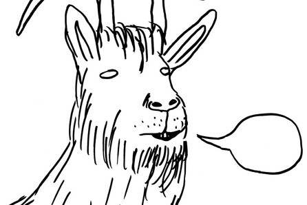 David Shrigley, Laughterhouse