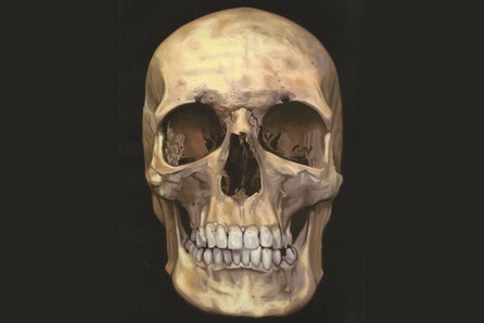 DAMIEN HIRST - NEW RELIGION