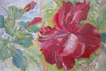 James Foot, Watercolours