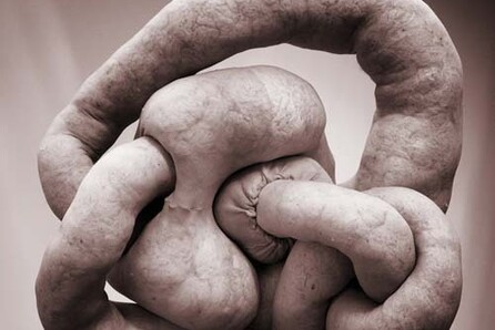 NUDS - SARAH LUCAS