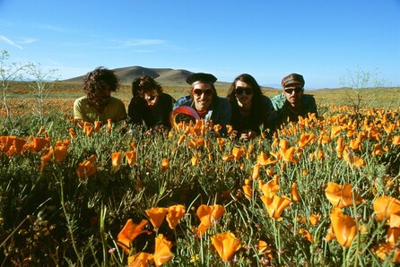 The Growlers