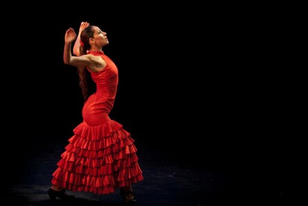 Flamenco Ronda al alba: "Andalucía antes y después"