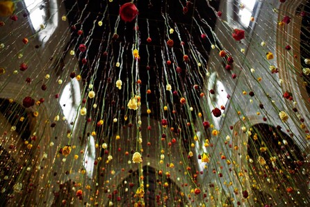 Rebecca Louise Law - Ψηλά, Κήπος