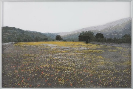 Γιώργος Αυγέρος, «Εικόνα και Ψευδαίσθηση»