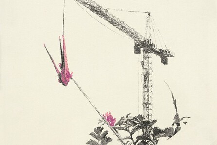 Νίκος Παπαδόπουλος, Flora Filopappou: Ένα ταξίδι από την Πόλη των Βράχων στον κήπο