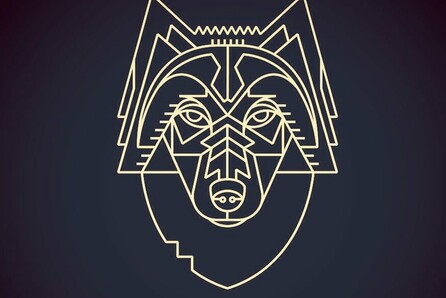 Wolfy Funk Project Live at six d.o.g.s