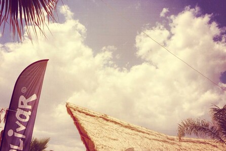 Beach House Festival