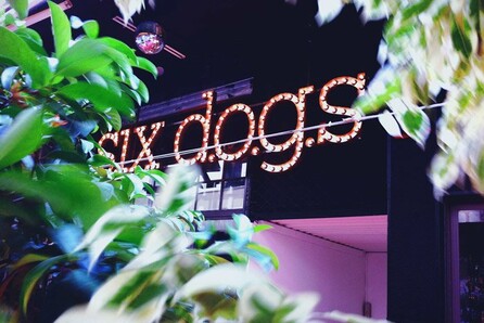 4 years six d.o.g.s 