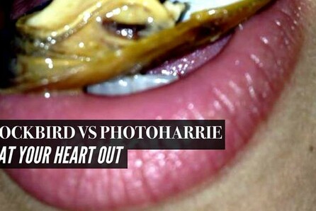 Eat your heart out