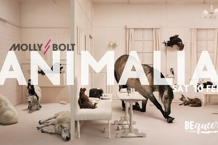 Molly Bolt: Animalia