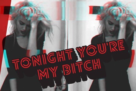 The Beatches: Tonight You 're My Bitch