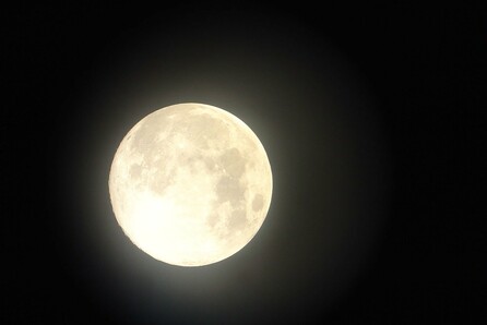 Full moon Night@White Noise