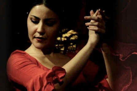 Camino Flamenco