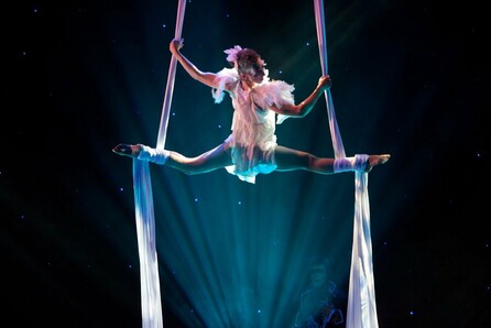 Circus Explosiva