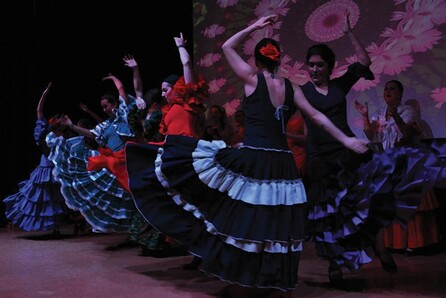 Danza Flamenca grupo - CARMEN flamenco