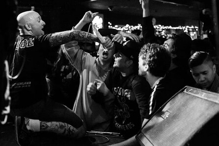 Gorilla Biscuits