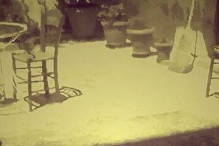 Η αυλή των θαυμάτων
