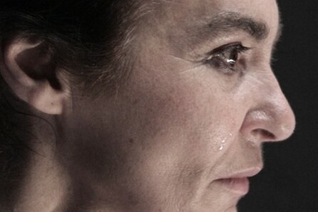 Βαγγέλης Θεοδωρόπουλος / Θέατρο του Νέου Κόσμου - Έλλη Παπαδημητρίου, Κοινός Λόγος