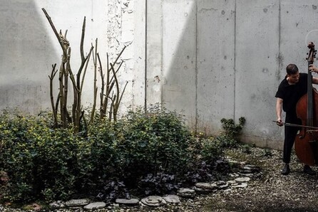 Pascal Niggenkemper/ Stephanos Chytiris/ Ilan Manouach