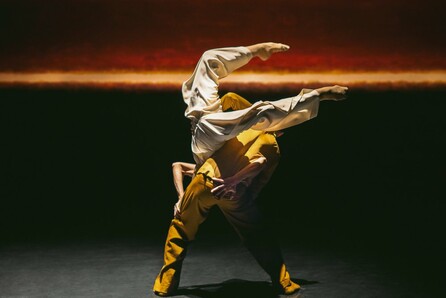 Nederlands Dans Theater I
