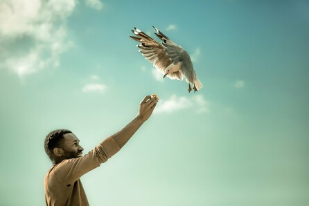 FFF4: Sanctuary