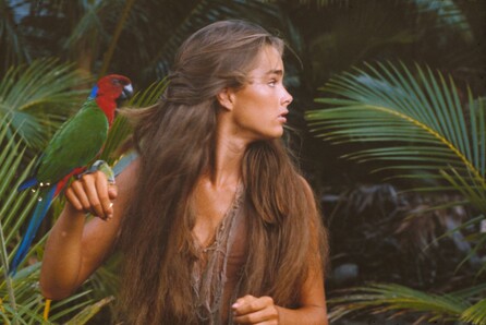 Blue Lagoon & Body Double