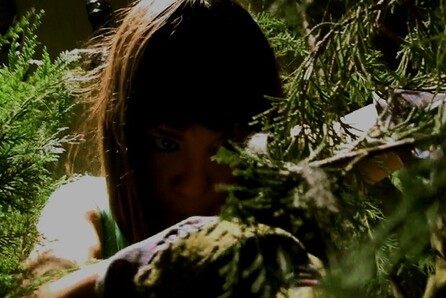 ΟΜΑΔΑ UNIVERSALIA, THE FOREST