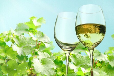 Wine & Dine στο Κλίμα Κλήμα