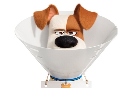 Πόσο καλά ξέρετε τα ζώα σας; Τρέιλερ για το «Secret Life of Pets 2»