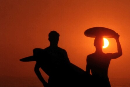 To "Endless Summer" του Bruce Brown σήμερα στη Στέγη