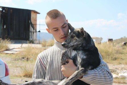 Greek Animal Rescue: Ένα δυνατό ντοκιμαντέρ για τα αδέσποτα της Αθήνας έρχεται στο CineDoc