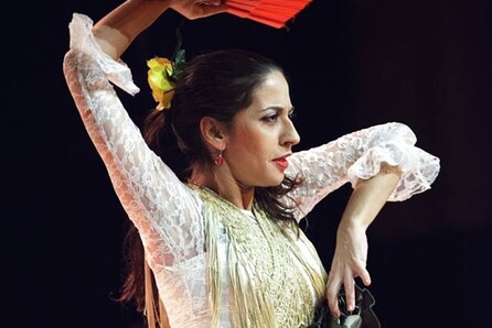 Το «Hola Flamenco Festival» είναι η αθηναϊκή γιορτή του φλαμέγκο