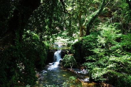 Τι θα έχει φέτος το 7ο Wood Water Wild Festival;