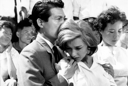 Τι διαφορετικό φέρνει το Adaptation Film Festival στην Αθήνα;